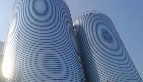 惠州2座混凝土高架卷板仓